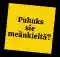 Puhuks sie meänkieltä? - Pratar du meänkieli?